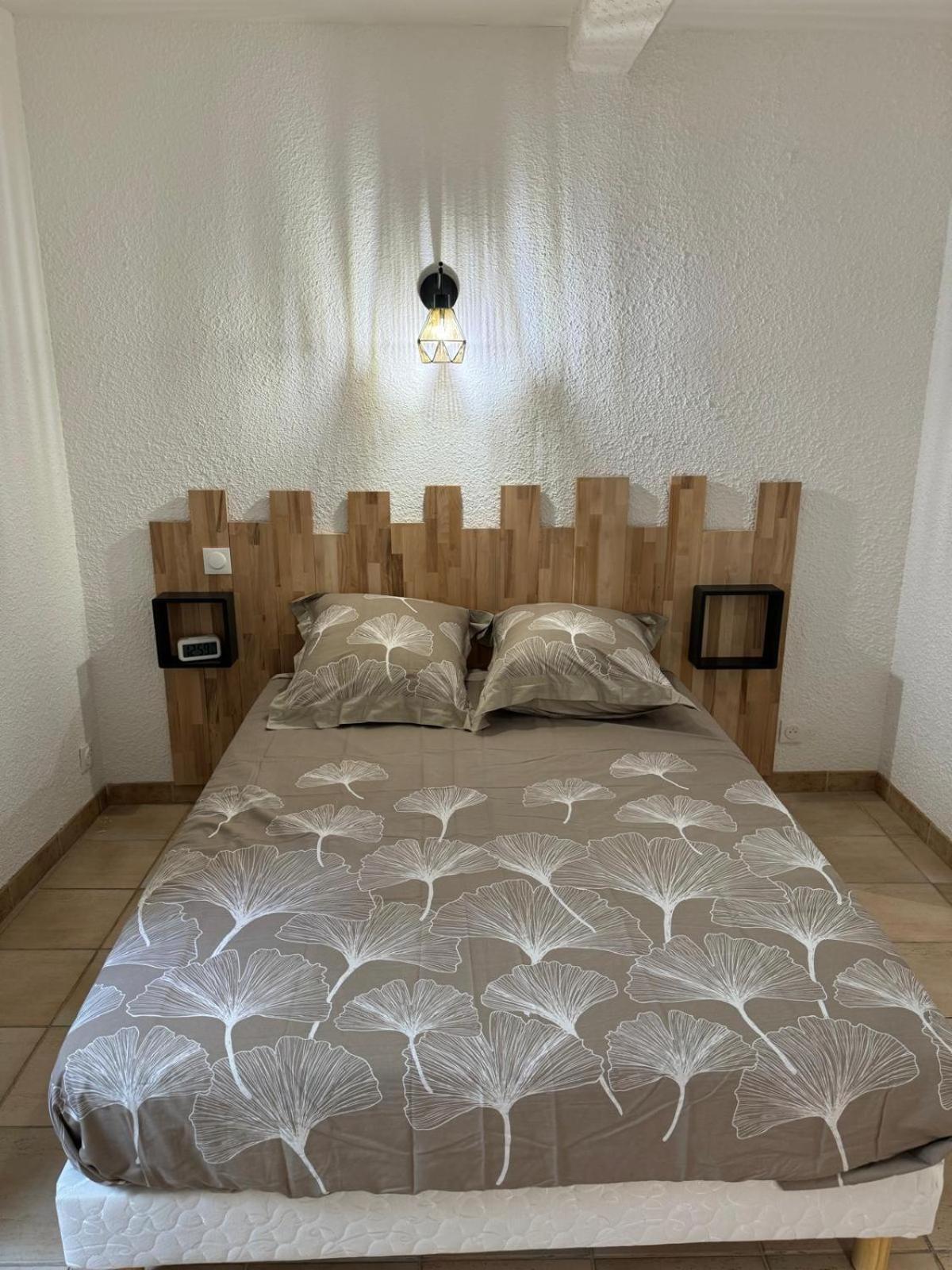 Charmant Appartement En Hypercentre De Castelnaudary Exterior foto